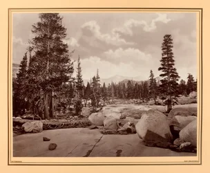 Ancient Glacier Channel, Lake Tenaya, Sierra Nevada Mountains